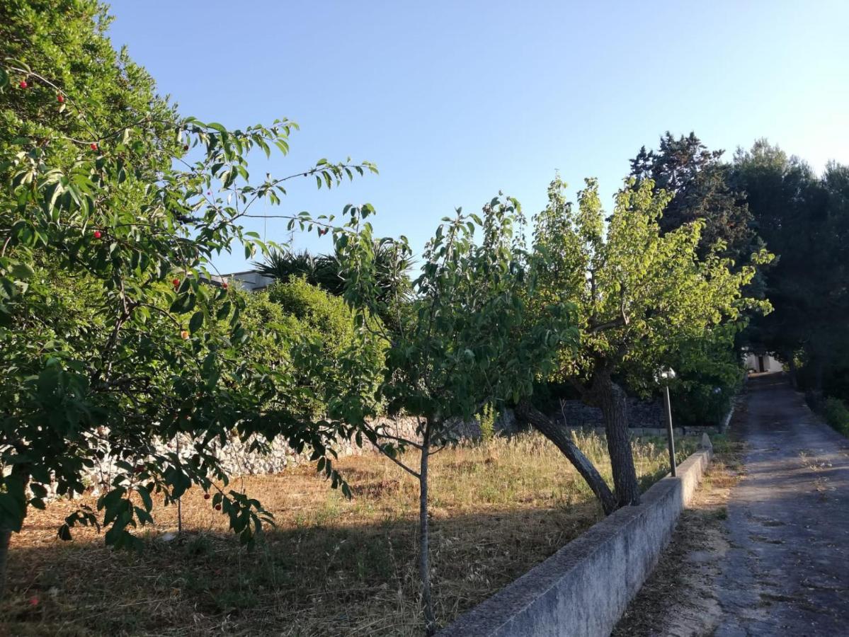 סלבה די פאסנו Ciao B&B מראה חיצוני תמונה